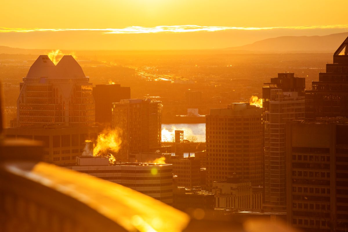 Vague de chaleur resilience quebec