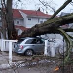 Arbre déraciné après tempête, voiture et maison endommagées
